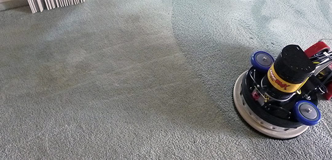 The Benefits Of Professional Carpet Cleaning Ottawa Carpet Cleaning
